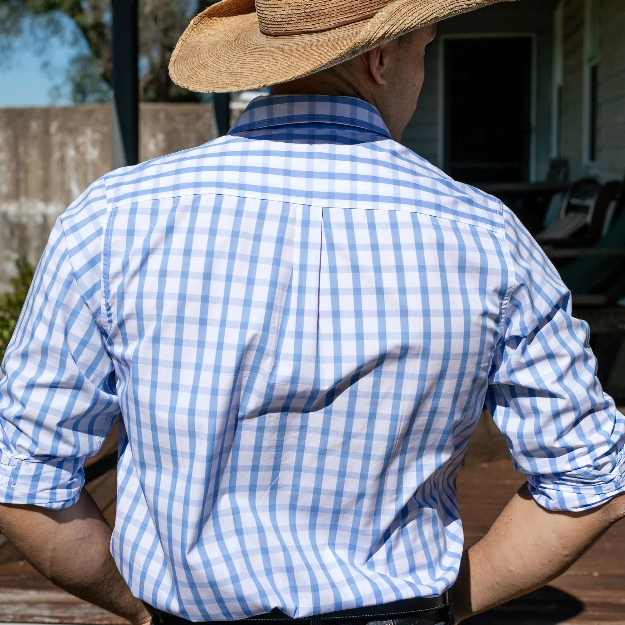 Cleland V-Blue Window Check